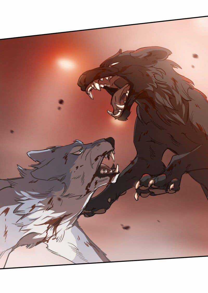 Lumine - Chapter 74 - Trang 4