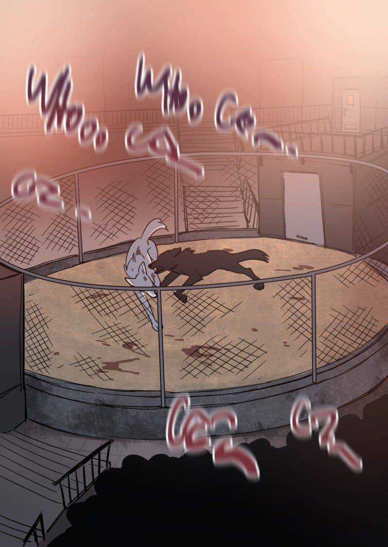 Lumine - Chapter 74 - Trang 5