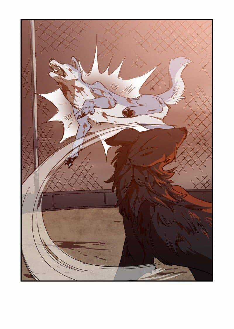 Lumine - Chapter 74 - Trang 9