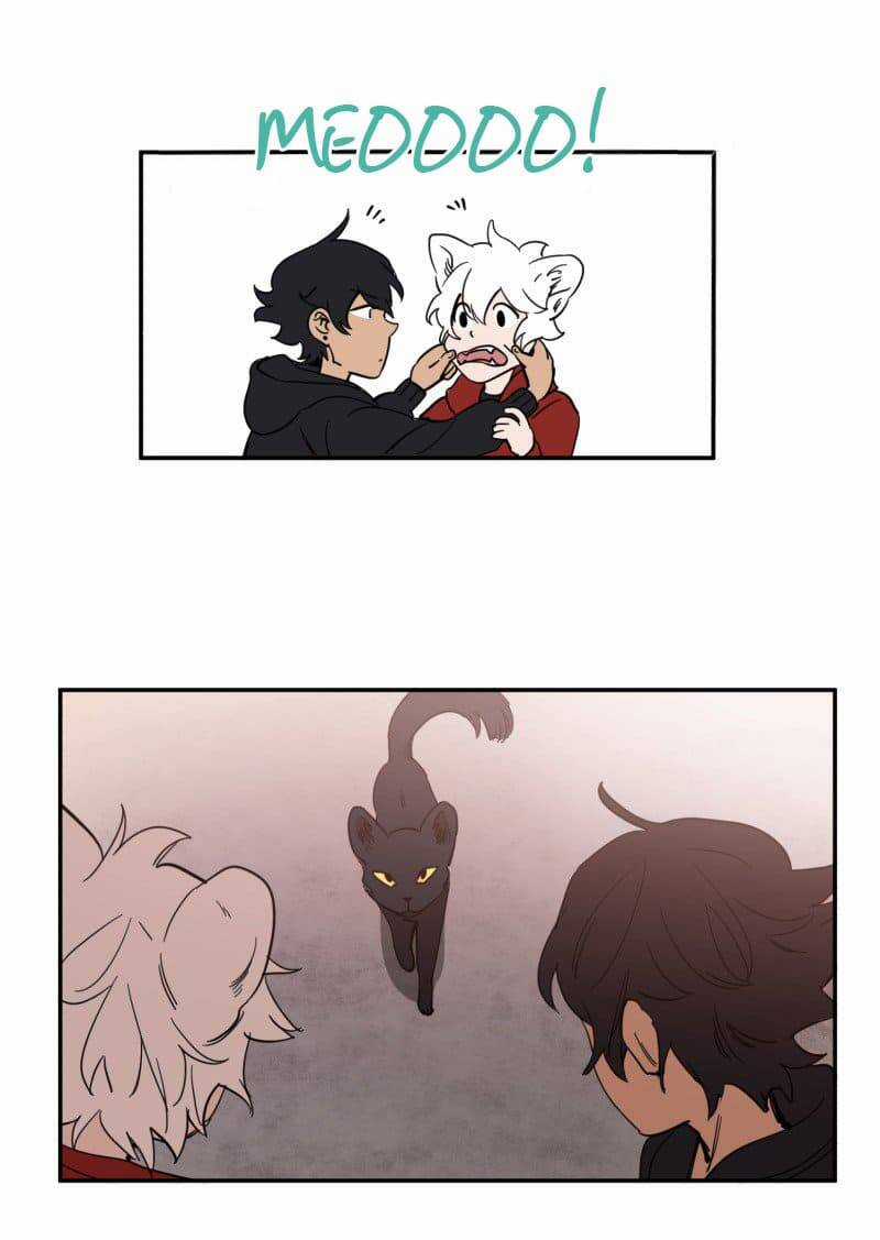 Lumine - Chapter 76 - Trang 31