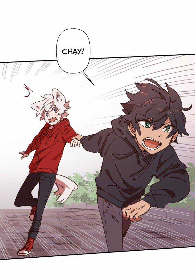 Lumine - Chapter 77 - Trang 24