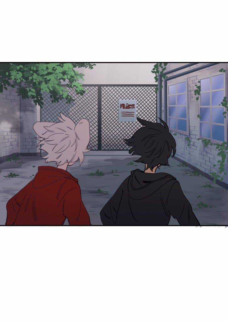 Lumine - Chapter 77 - Trang 29