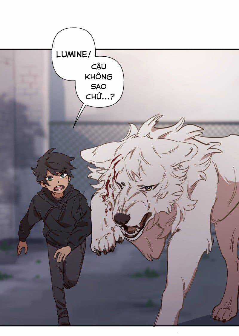 Lumine - Chapter 77 - Trang 37