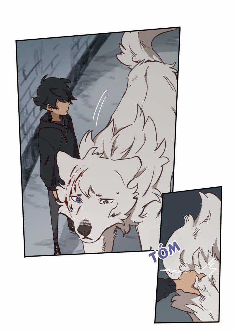 Lumine - Chapter 78 - Trang 14