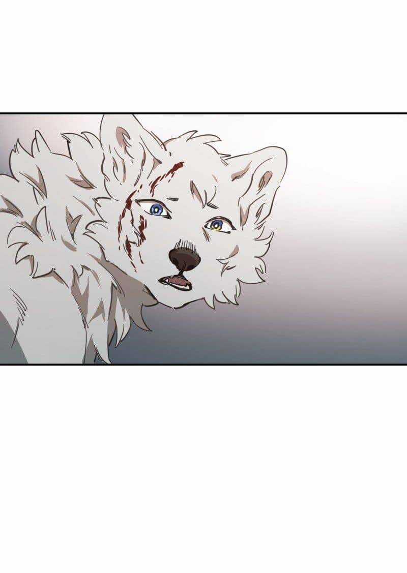 Lumine - Chapter 78 - Trang 17