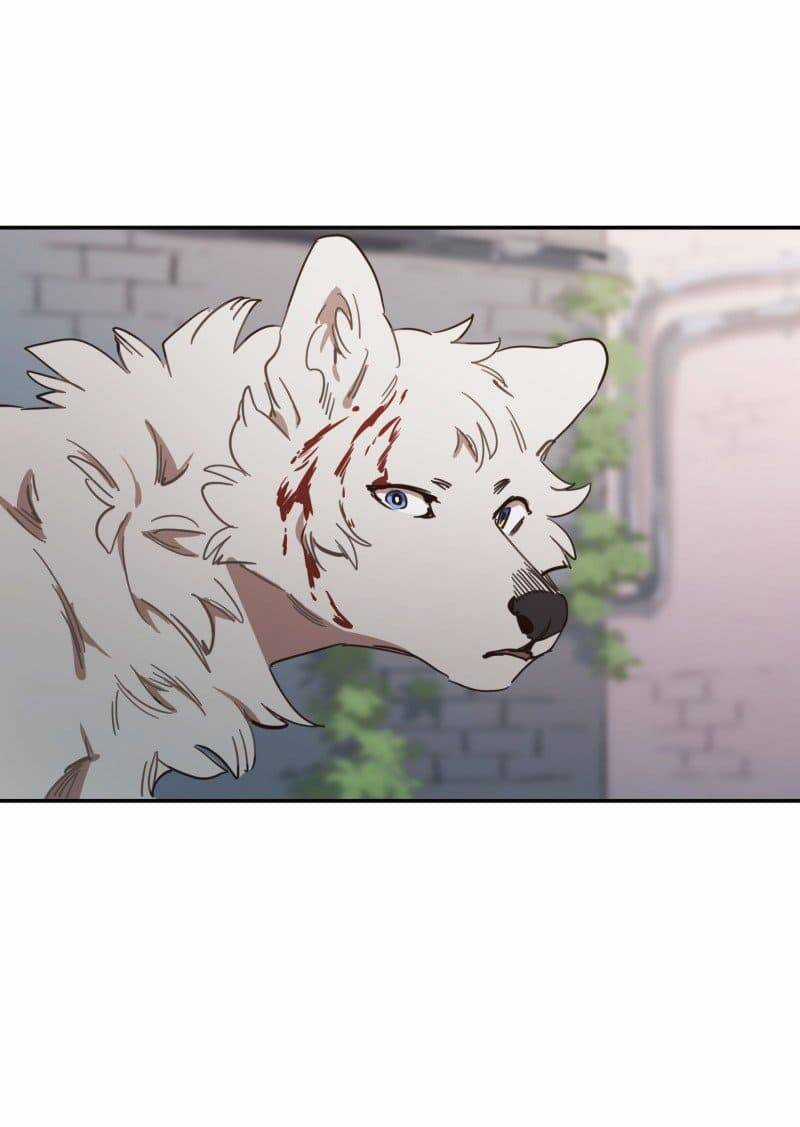 Lumine - Chapter 78 - Trang 3