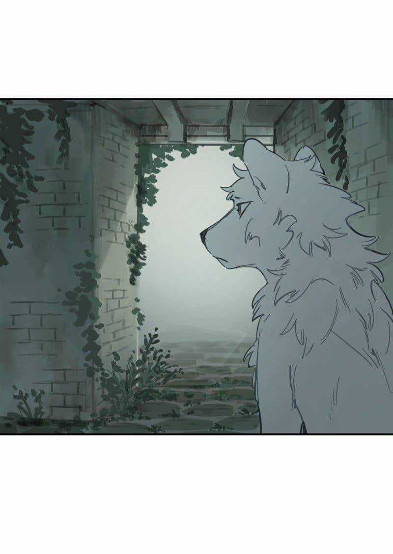 Lumine - Chapter 78 - Trang 30