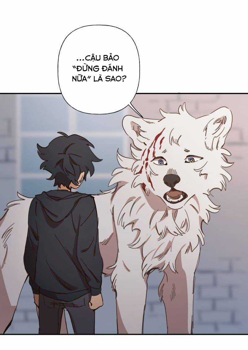 Lumine - Chapter 78 - Trang 4