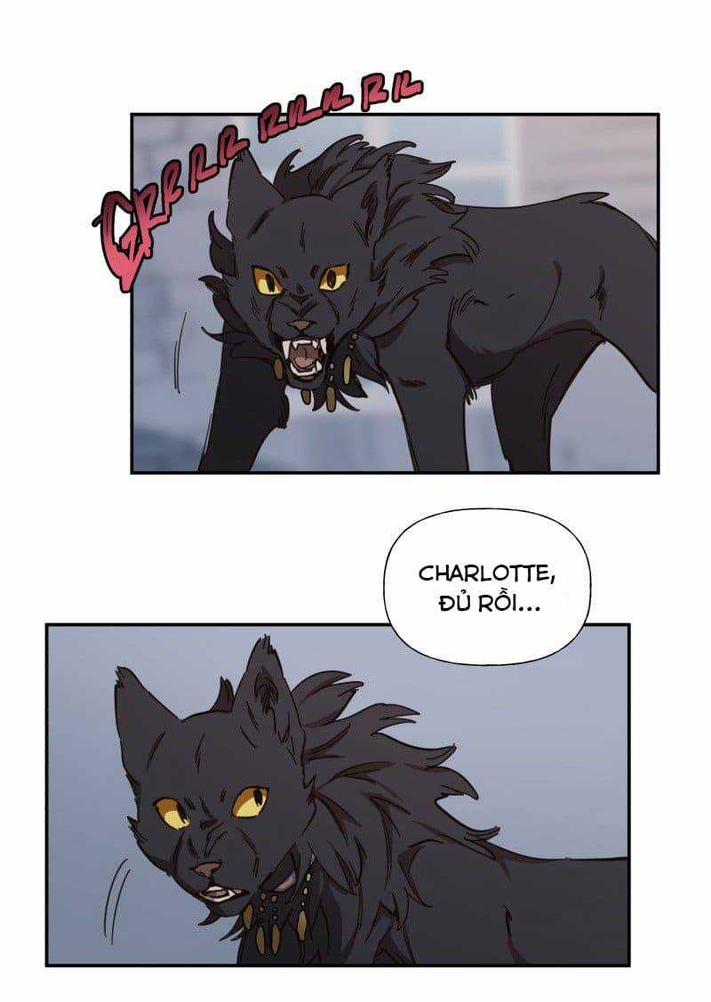 Lumine - Chapter 78 - Trang 7