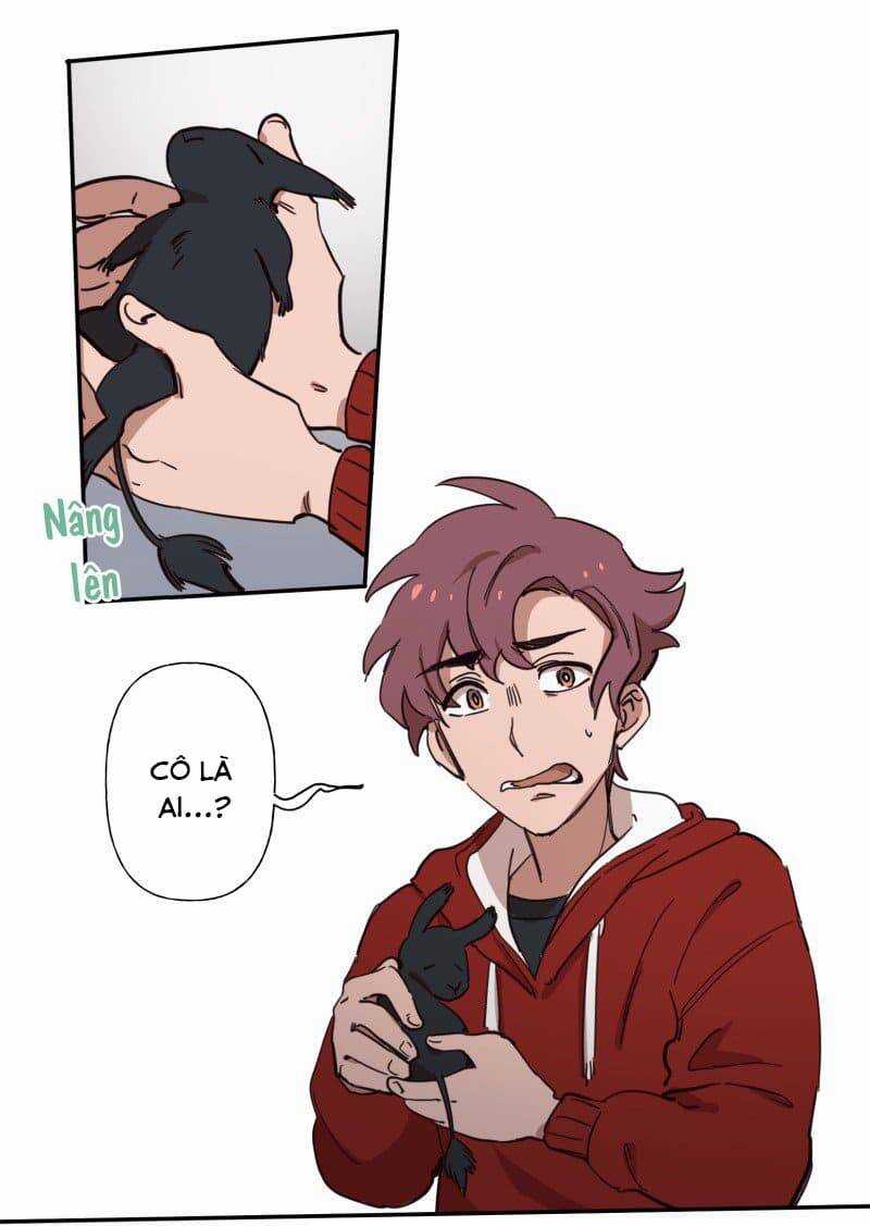 Lumine - Chapter 79 - Trang 11