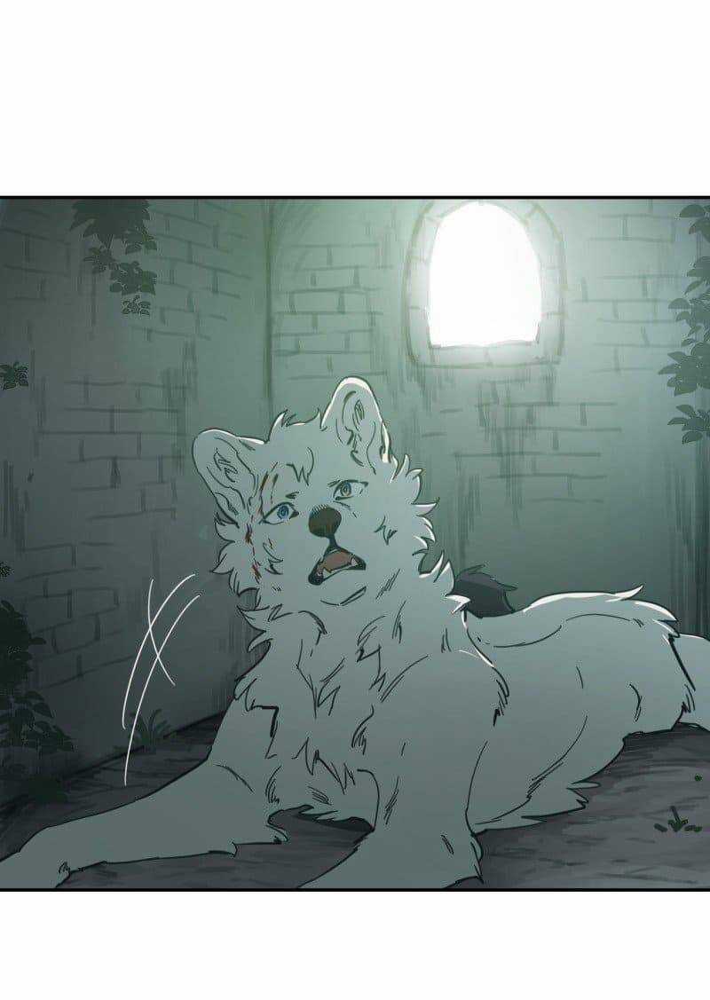 Lumine - Chapter 79 - Trang 21