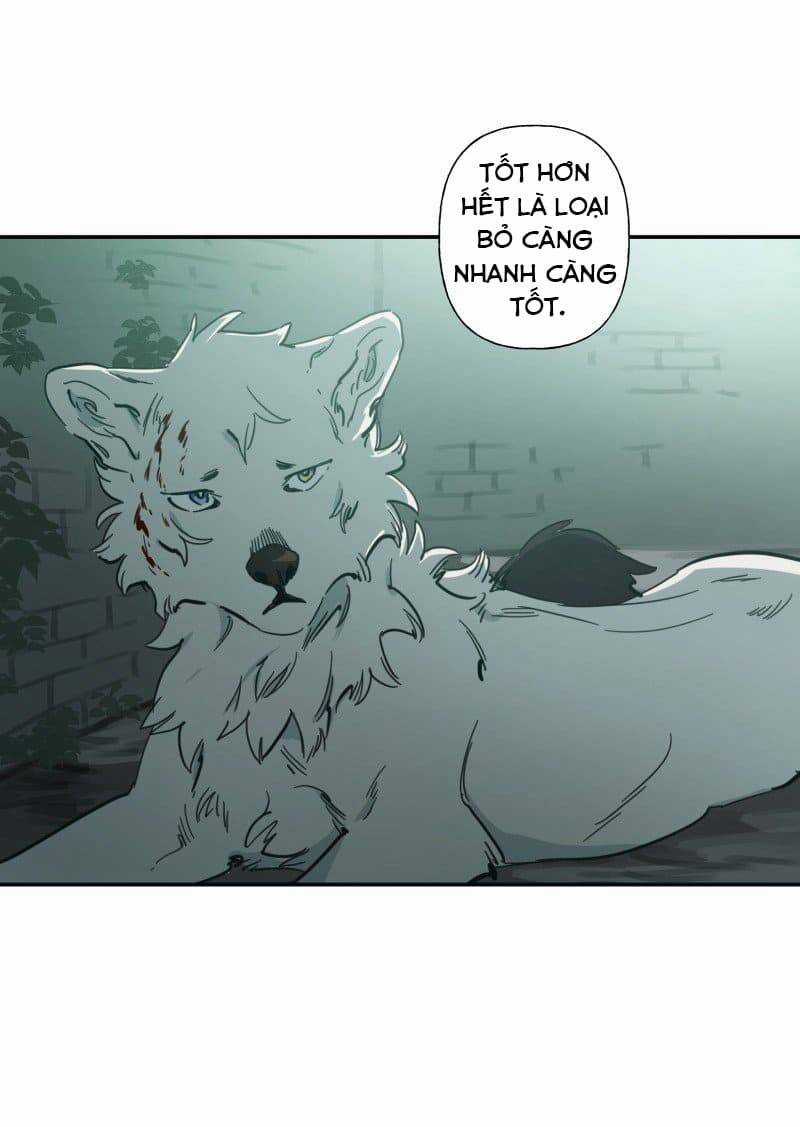 Lumine - Chapter 79 - Trang 31