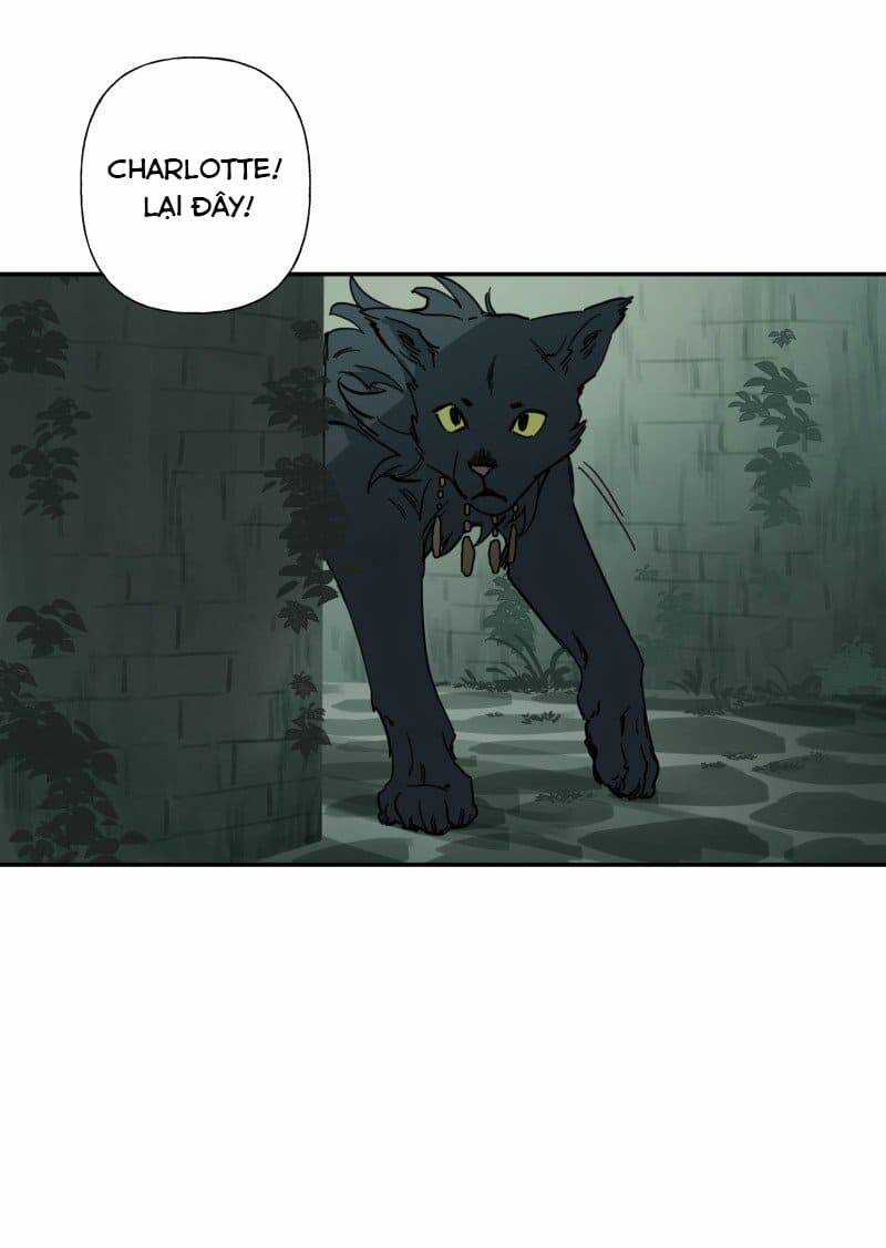 Lumine - Chapter 79 - Trang 39