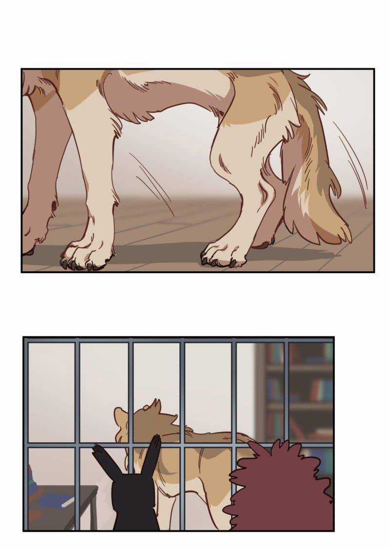 Lumine - Chapter 80 - Trang 20