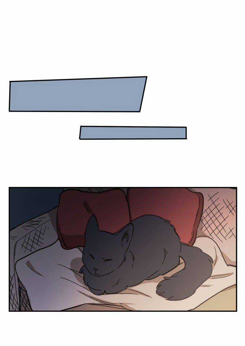 Lumine - Chapter 80 - Trang 25