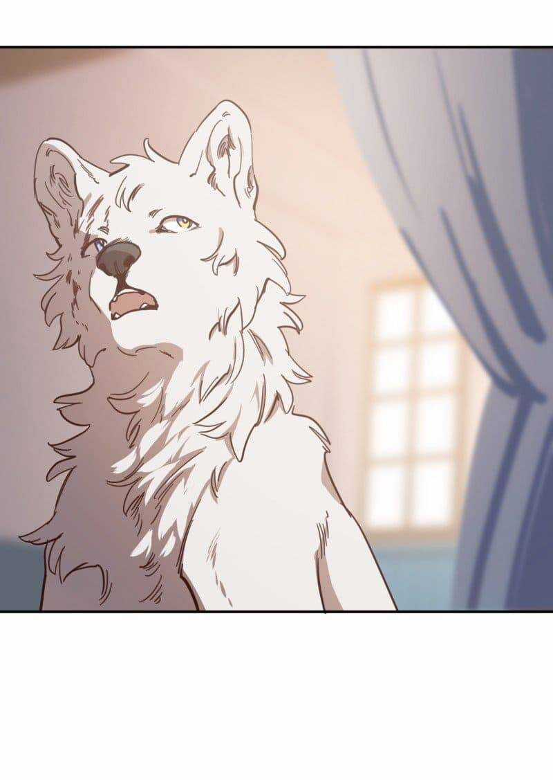 Lumine - Chapter 80 - Trang 26