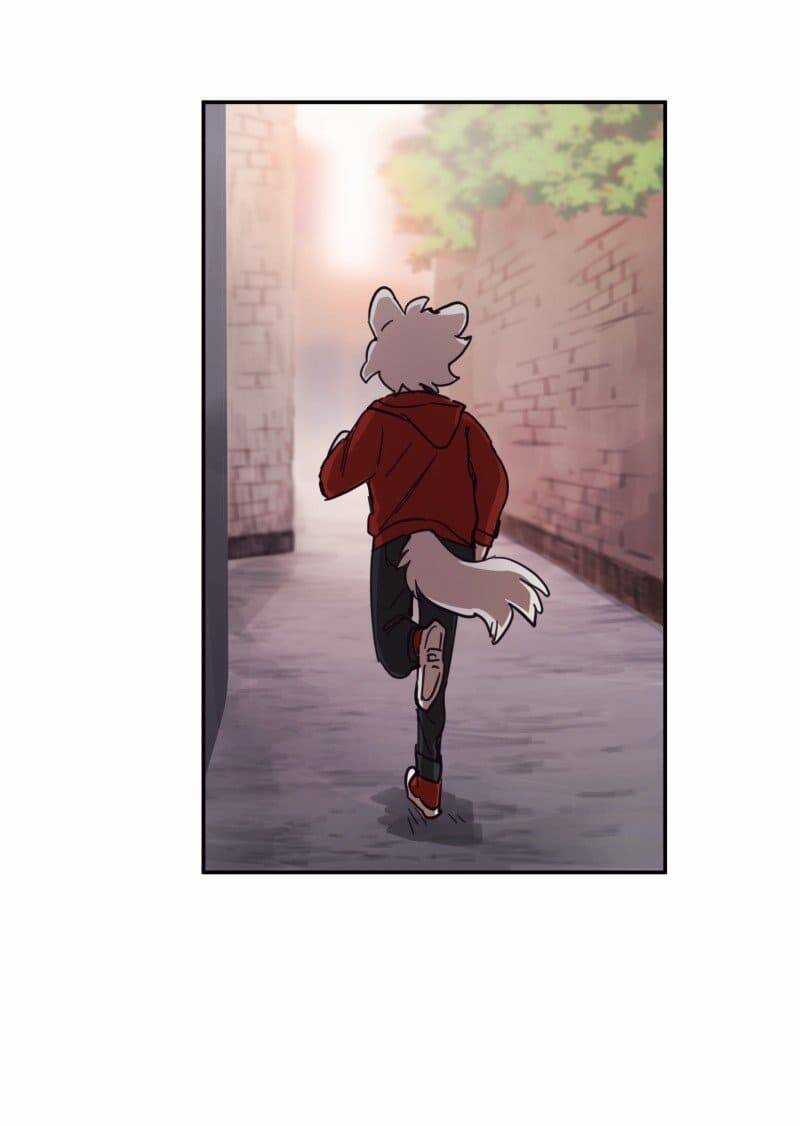 Lumine - Chapter 80 - Trang 42