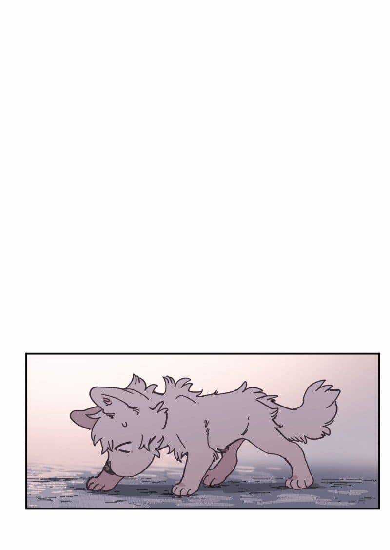 Lumine - Chapter 81 - Trang 21