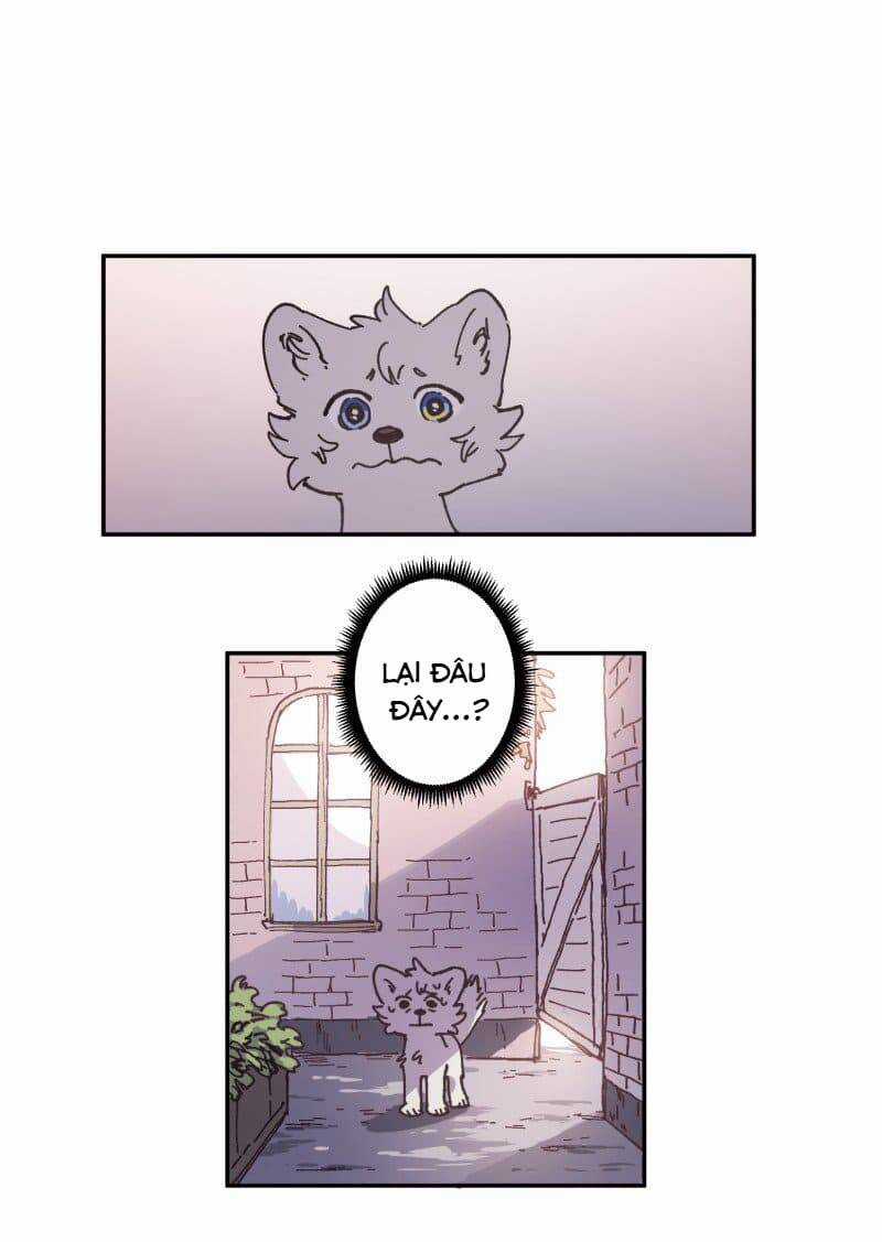 Lumine - Chapter 81 - Trang 22