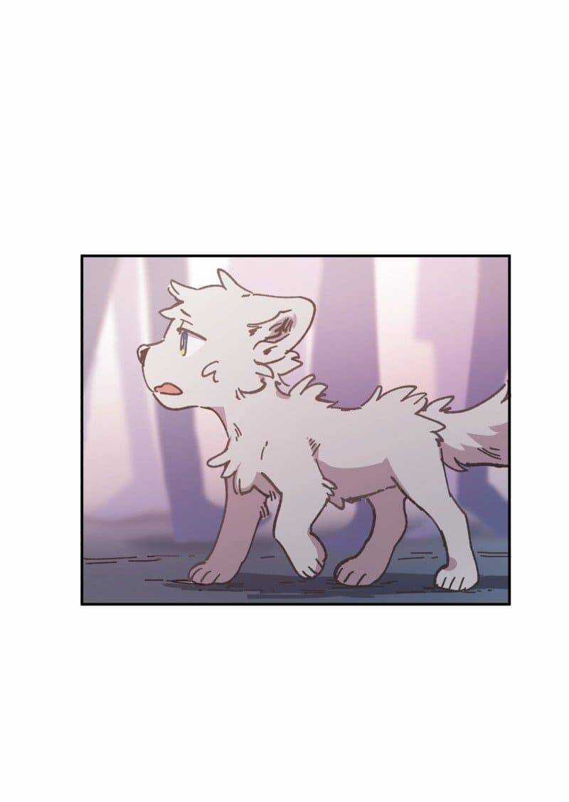 Lumine - Chapter 81 - Trang 29