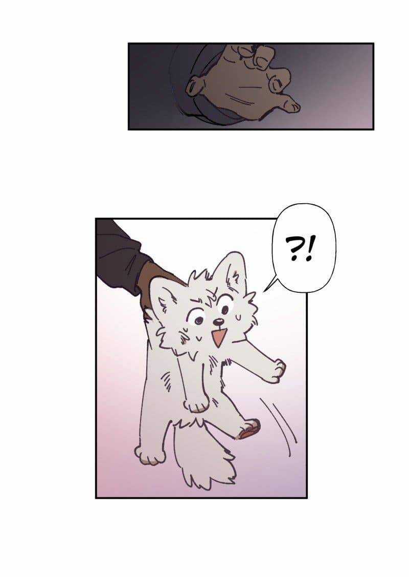 Lumine - Chapter 81 - Trang 32