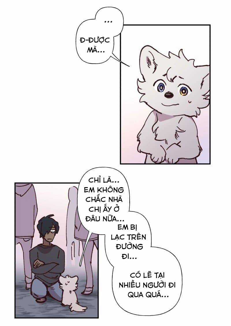 Lumine - Chapter 82 - Trang 11