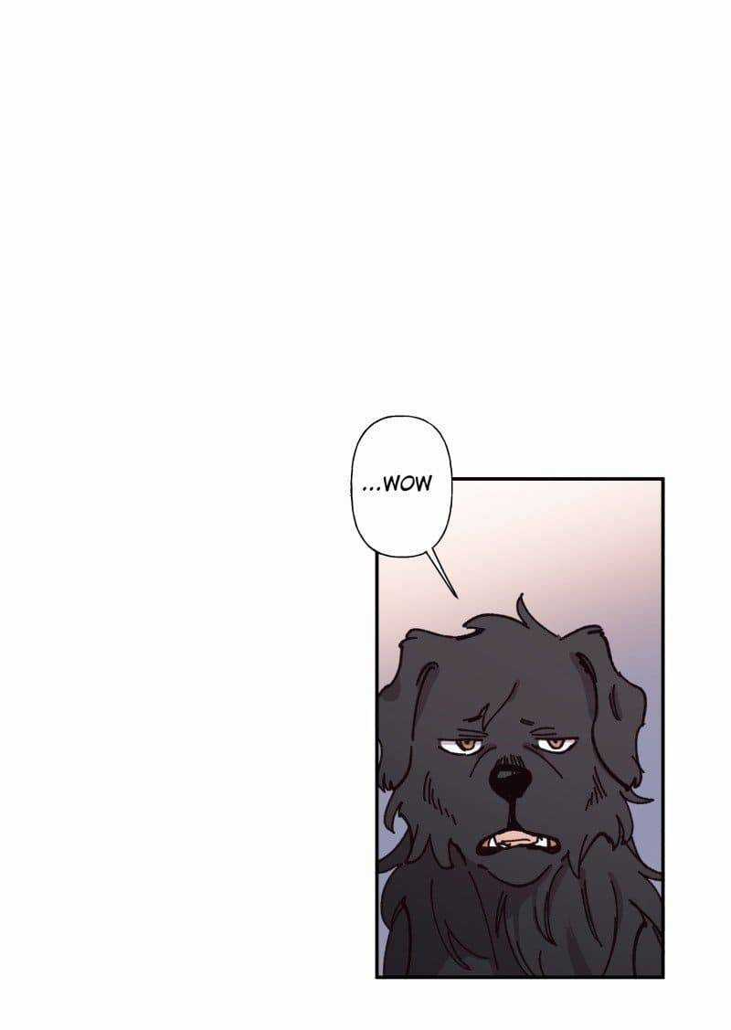 Lumine - Chapter 82 - Trang 14