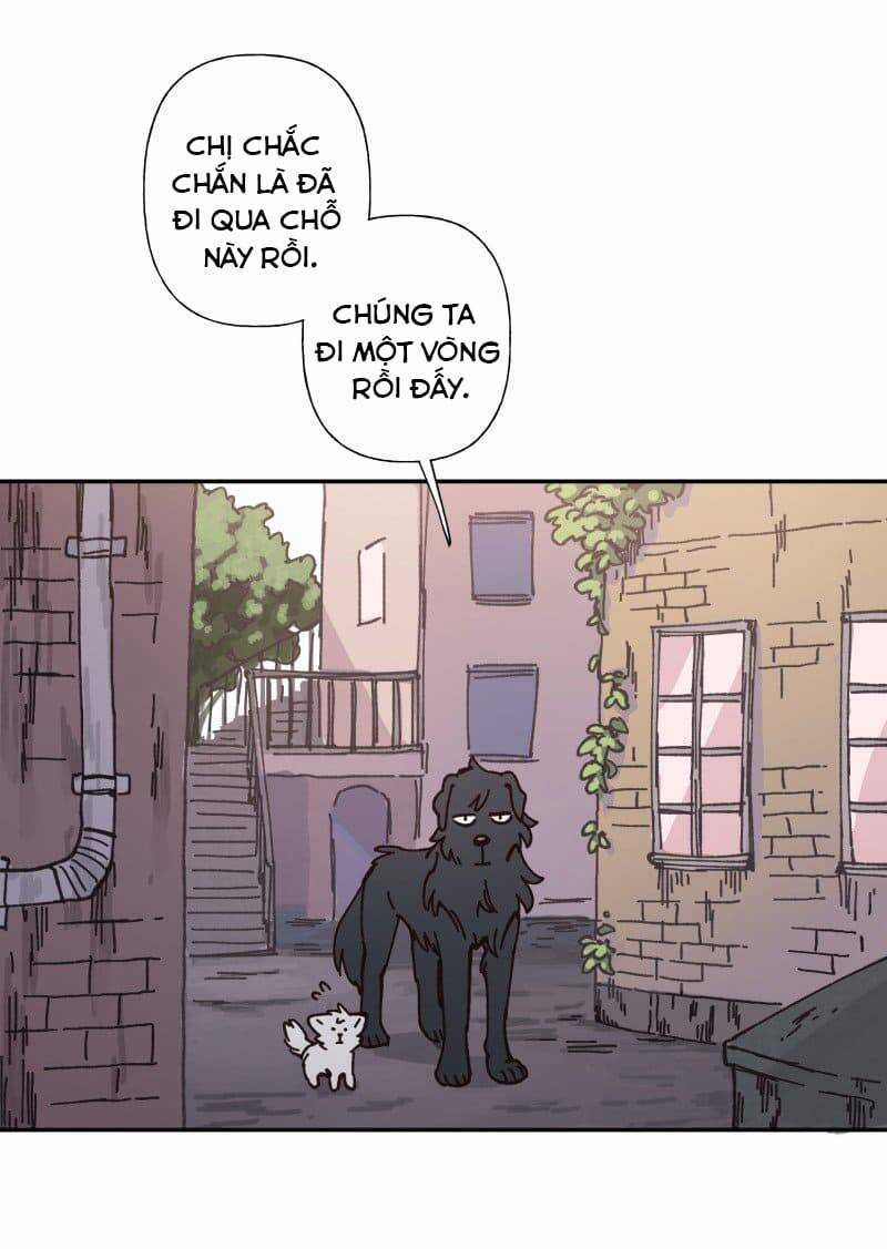 Lumine - Chapter 82 - Trang 15