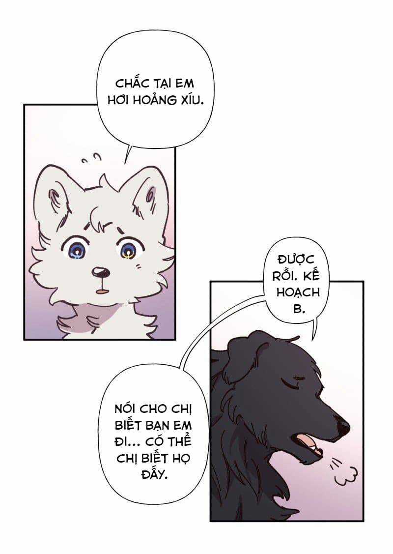 Lumine - Chapter 82 - Trang 16