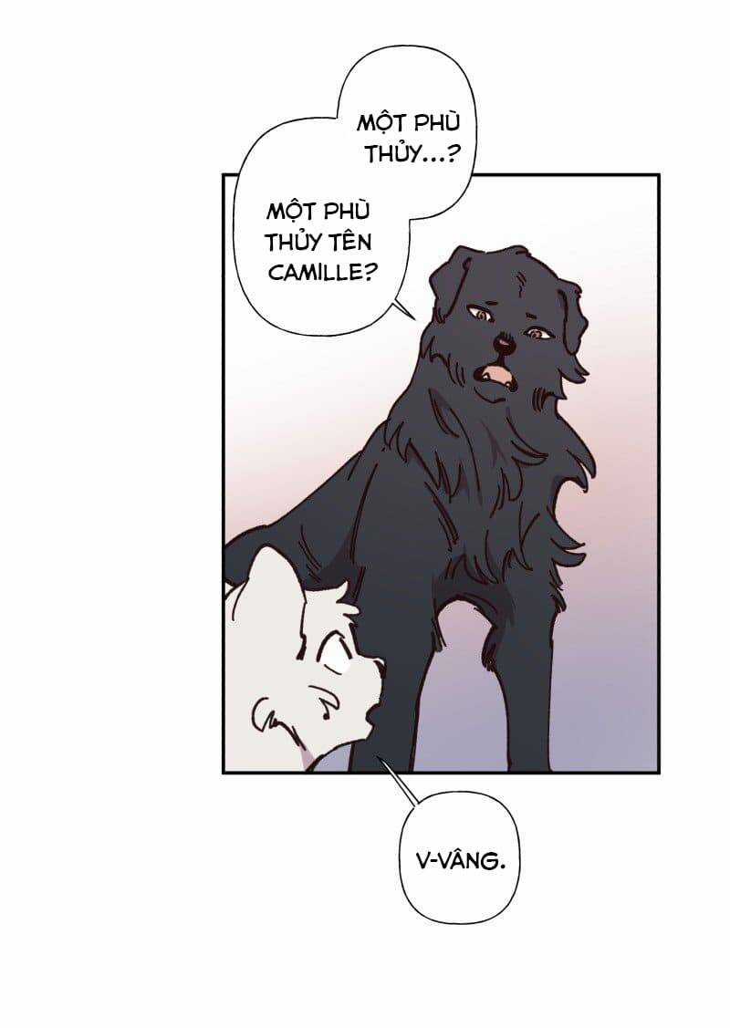 Lumine - Chapter 82 - Trang 18