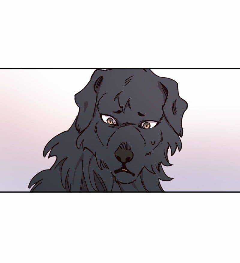 Lumine - Chapter 82 - Trang 19