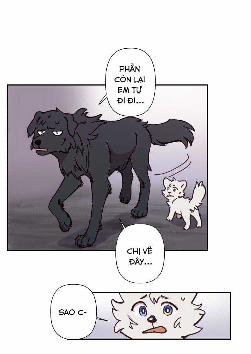 Lumine - Chapter 82 - Trang 21