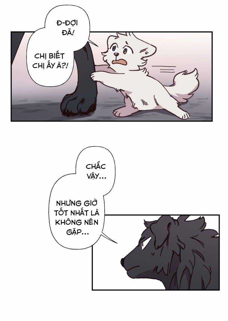 Lumine - Chapter 82 - Trang 22