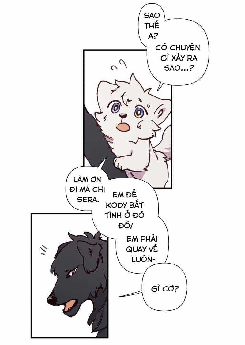 Lumine - Chapter 82 - Trang 23