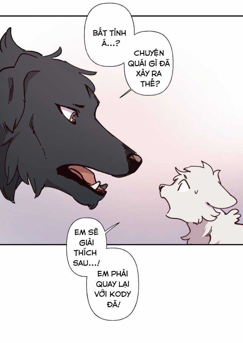 Lumine - Chapter 82 - Trang 24