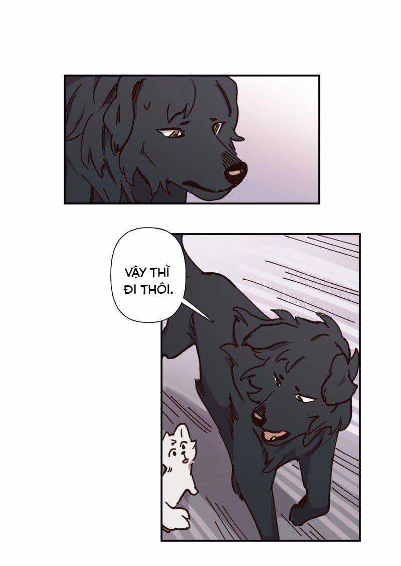 Lumine - Chapter 82 - Trang 25