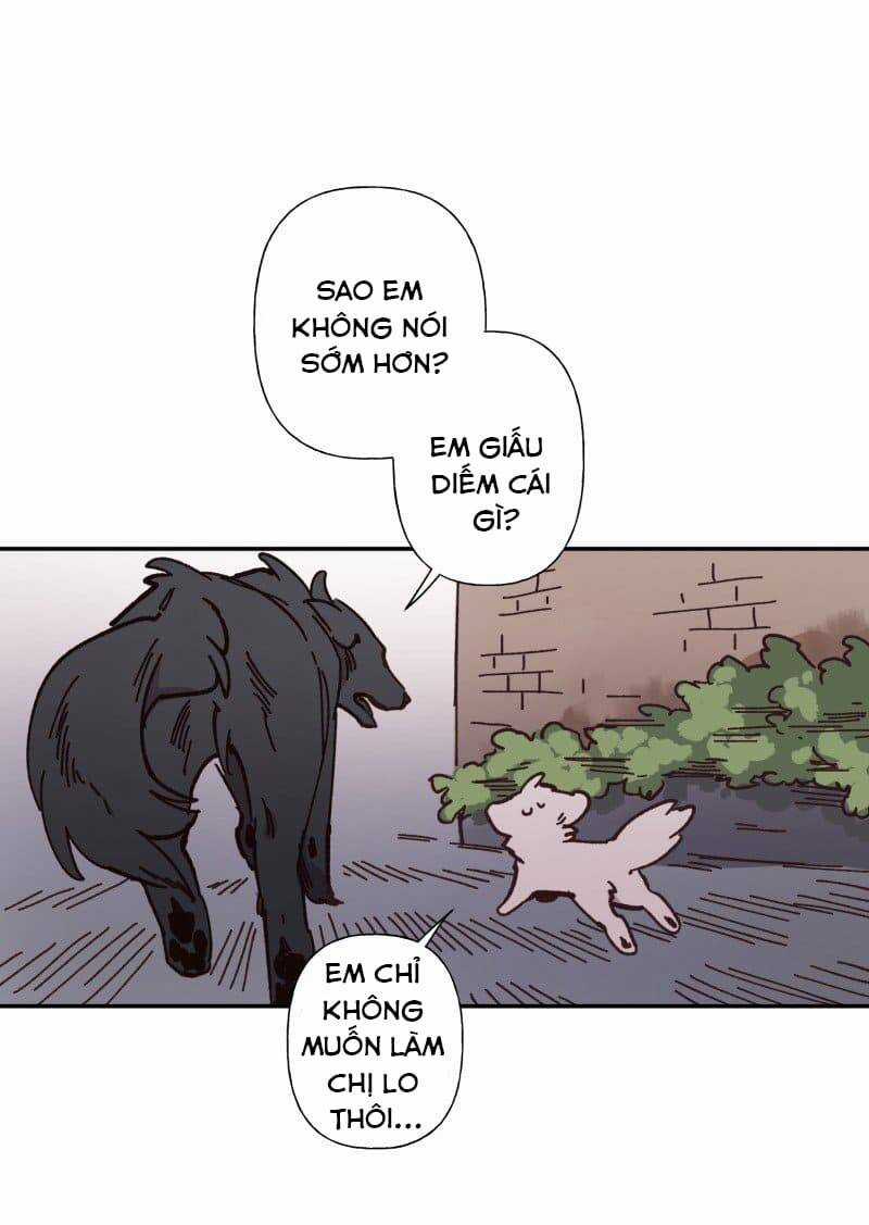 Lumine - Chapter 82 - Trang 26