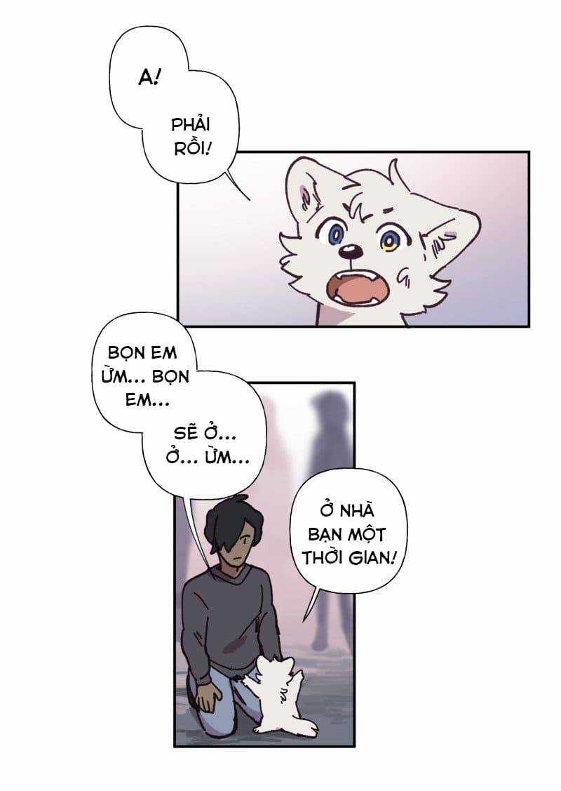 Lumine - Chapter 82 - Trang 8