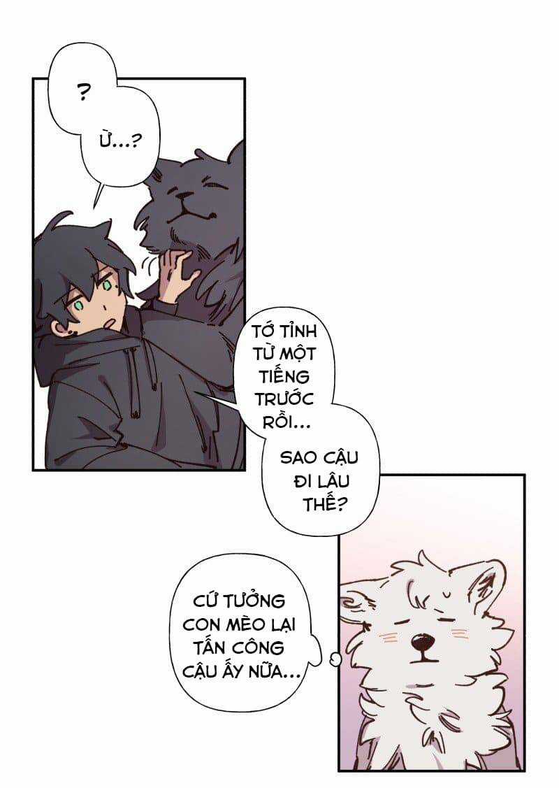 Lumine - Chapter 83 - Trang 13