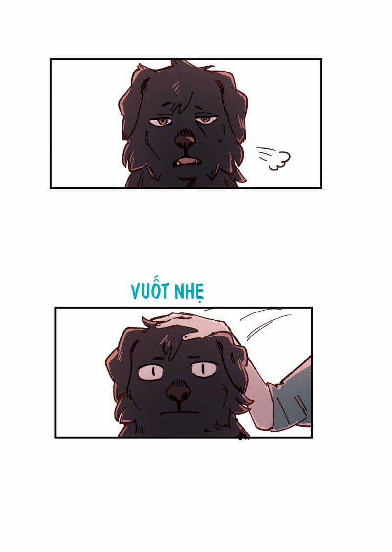 Lumine - Chapter 83 - Trang 15