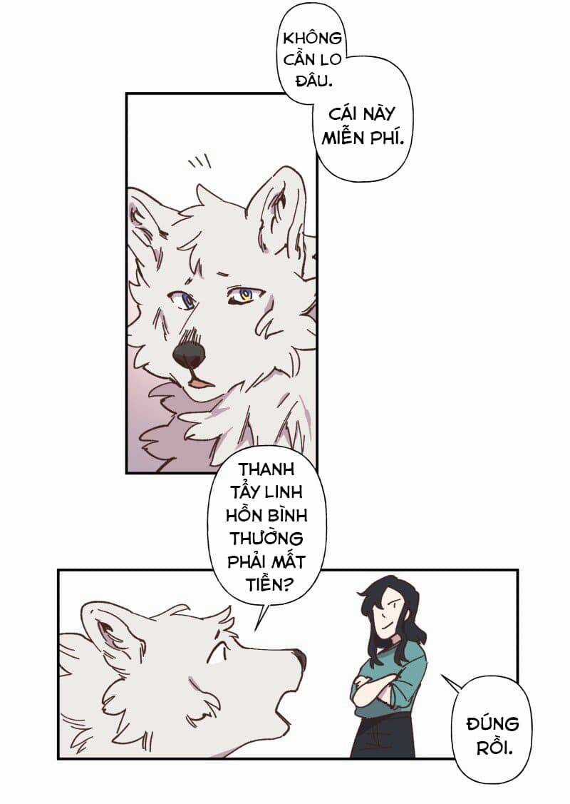 Lumine - Chapter 83 - Trang 21