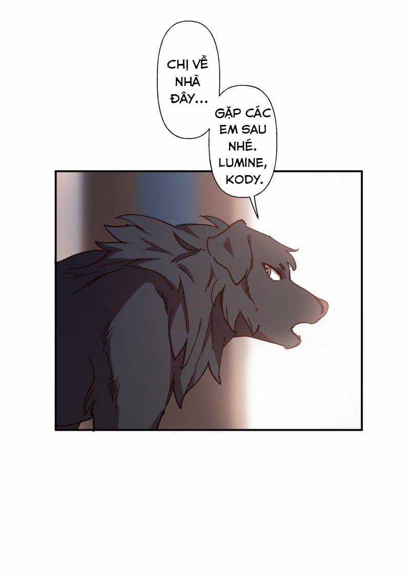 Lumine - Chapter 83 - Trang 24
