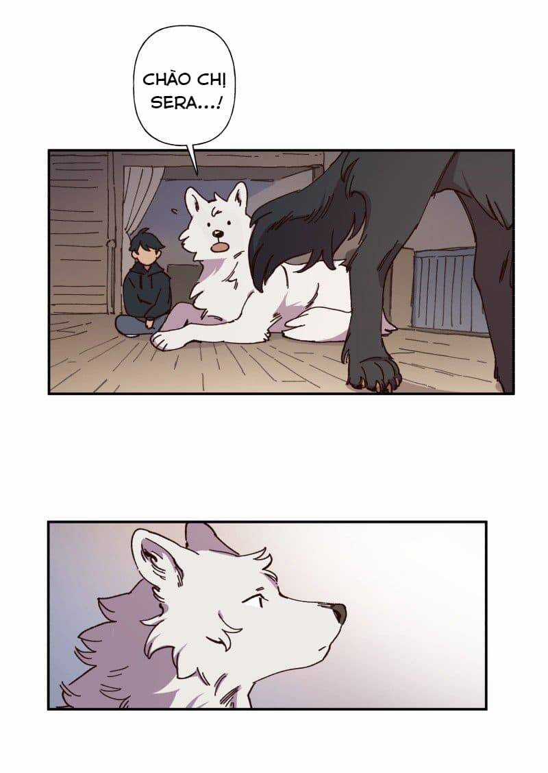 Lumine - Chapter 83 - Trang 25