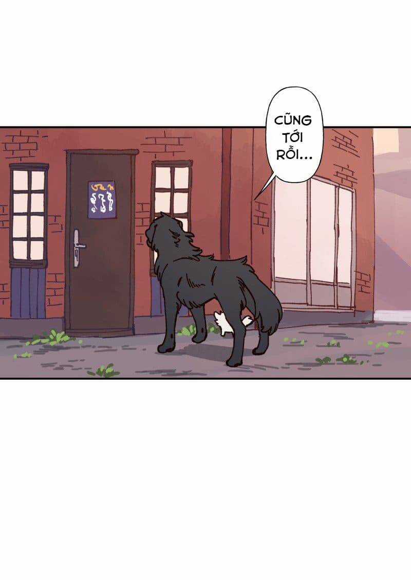 Lumine - Chapter 83 - Trang 4