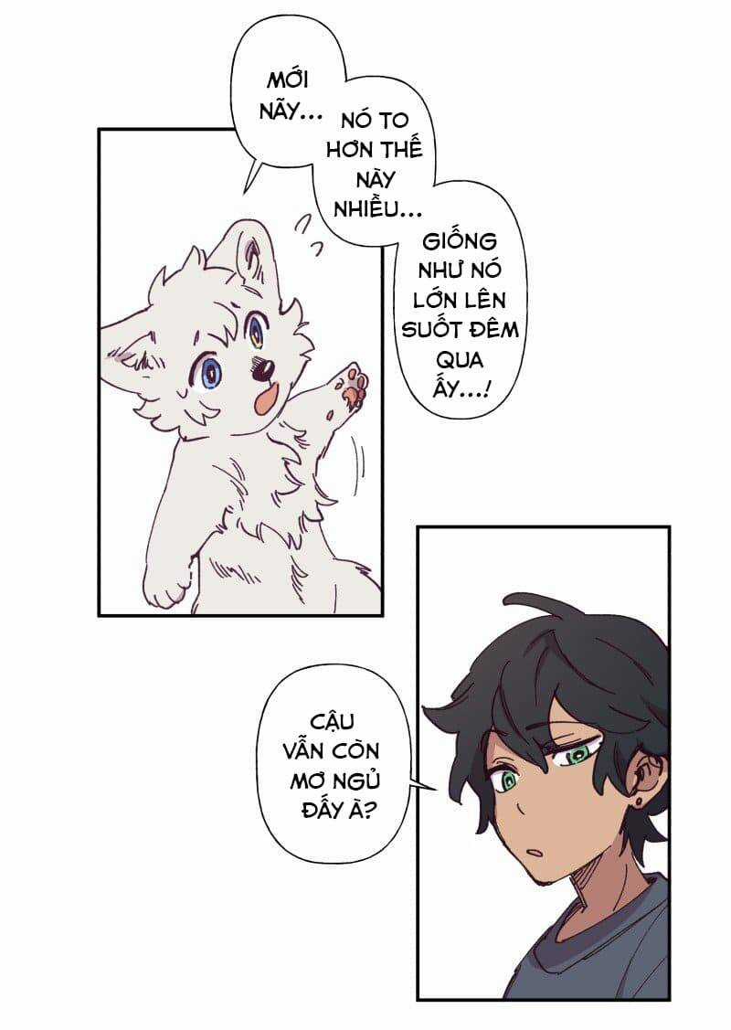 Lumine - Chapter 84 - Trang 15