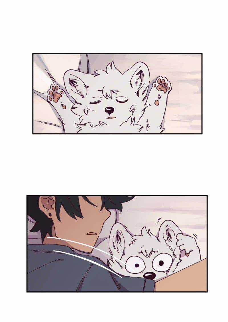 Lumine - Chapter 84 - Trang 4