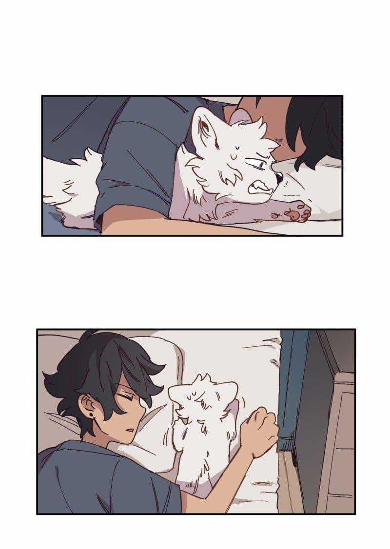 Lumine - Chapter 84 - Trang 6