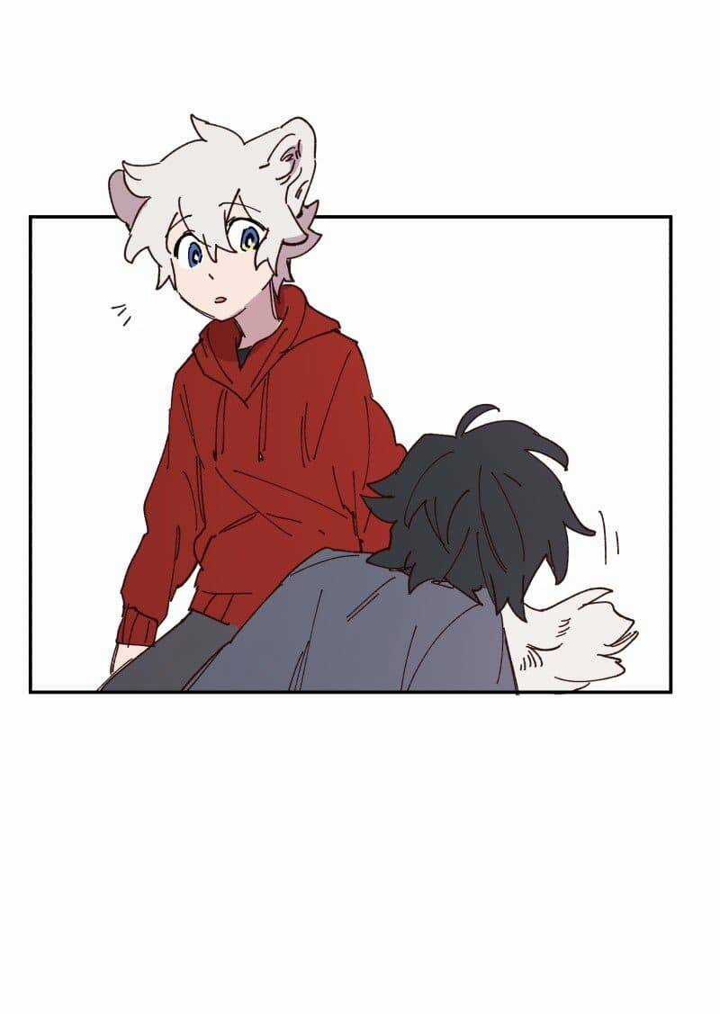 Lumine - Chapter 85 - Trang 12