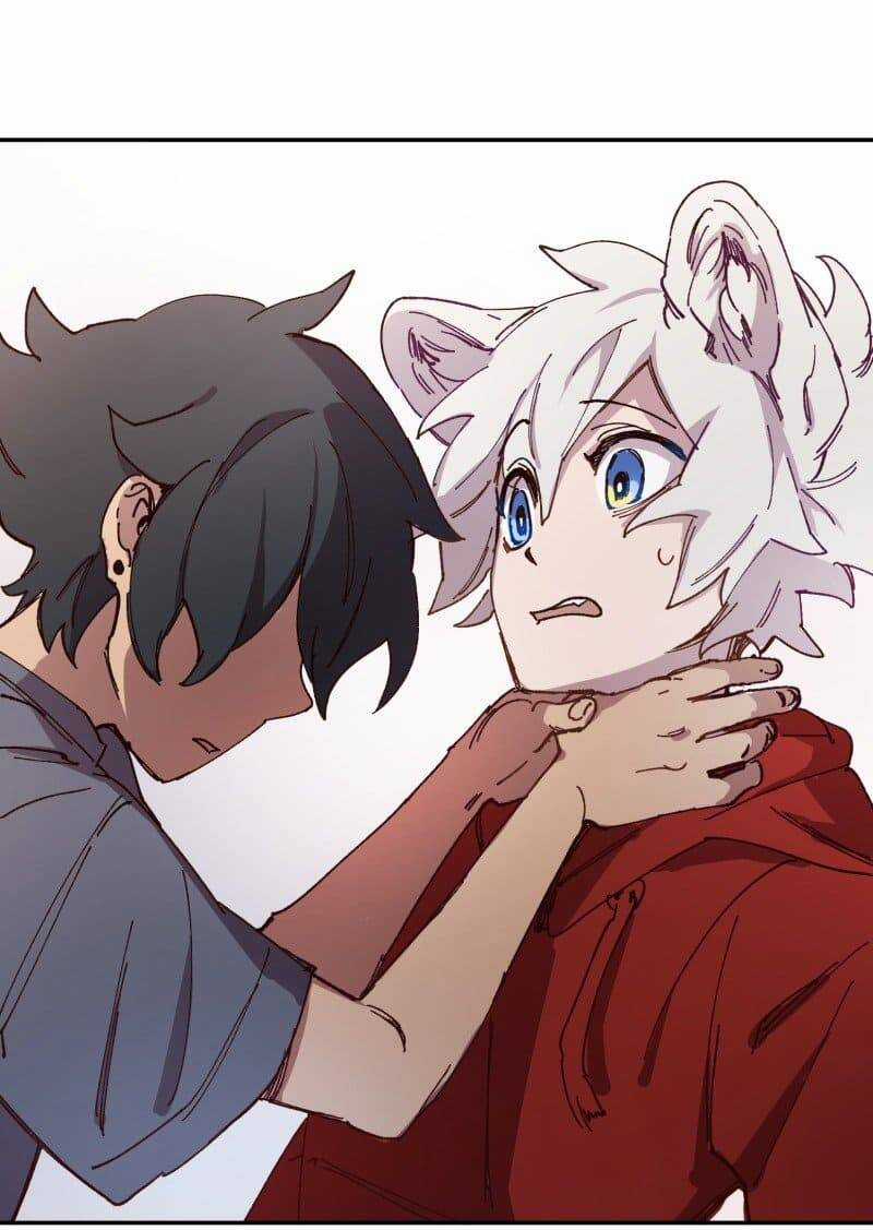 Lumine - Chapter 85 - Trang 14