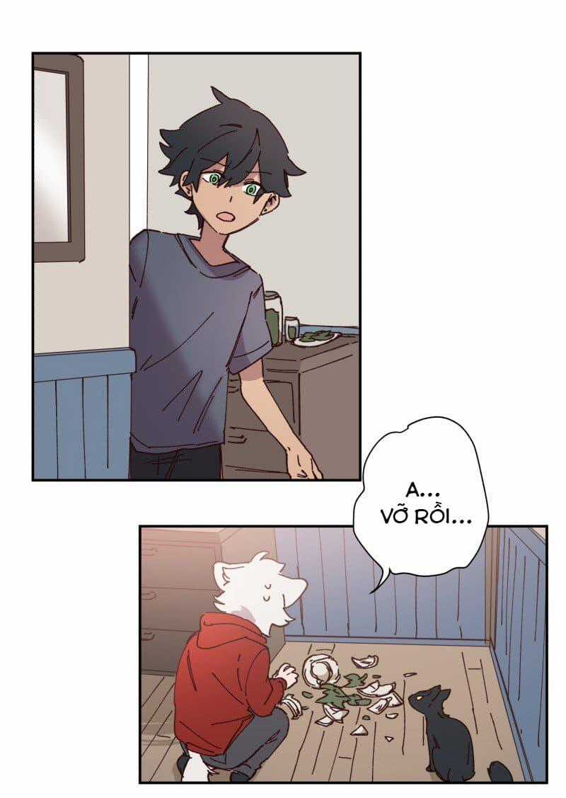 Lumine - Chapter 86 - Trang 11